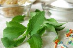 Das Süßungsmittel Stevia Das Süßungsmittel Stevia